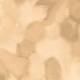 001597 Welcome to Jupiter Sepia