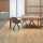 Forbo Eternal Colour en Enteral Wood vinyl vloer
