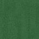 382010 Evergreen