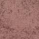 590029 Salmon