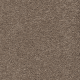 0485 Beigebruin