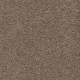 0485 Beigebruin