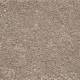 0495 Steppe