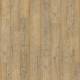 6505 Light Pine