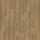 6507 Warm Pine