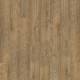 6507 Warm Pine