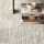 Desso Natural Shades 1321