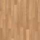 010042 Steamed Beech