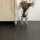 Gelasta City Dryback PVC, kleur: 4607 Slate Black
