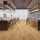Gelasta Vario Dryback PVC, kleur: 4900 Prestige Oak Naturel