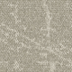 4282022 Mushroom
