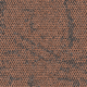 4282028 Drylands