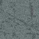 4282032 Agave