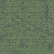 4282034 Moss