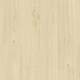 24515056 Beige