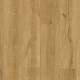 24515077 Stained