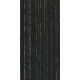 4289005 Grey Flash