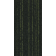 4289008 Olive Flash