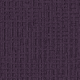 1458024 Elderberry