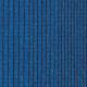 4268009 Delphinium