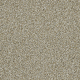 4174062 Biscuit