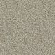 4175070 Biscuit
