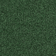 4175079 Forest