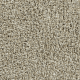 4176045 Biscuit