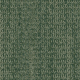 4306008 Forest