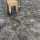 Interfloor Imola Project tapijt, kleur: 349 Mosgroen