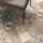 Interfloor Living Stone tegeldessin 531 close up