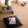 Interfloor Noblesse Wool