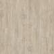 51222 Laurel Oak