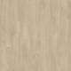 51229 Laurel Oak