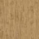 51262 Laurel Oak