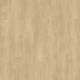 51329 Laurel Oak