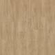 51824 Laurel Oak