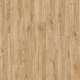 58346 Sierra Oak