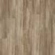 59253 Santa Cruz Oak