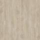 51222 Laurel Oak