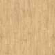51332 Laurel Oak
