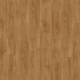 51822 Laurel Oak