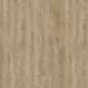 22231 Midland Oak