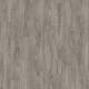 22929 Midland Oak