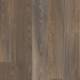 20875 Mexican Ash