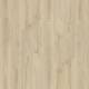 22215 Blackjack Oak
