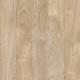 24229 Chester Oak