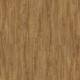 24825 Montreal Oak