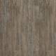 24868 Latin Pine