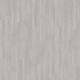 24936 Verdon Oak